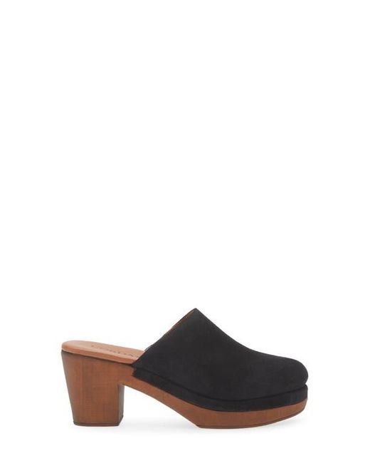 Cordani Brown Wanda Clog