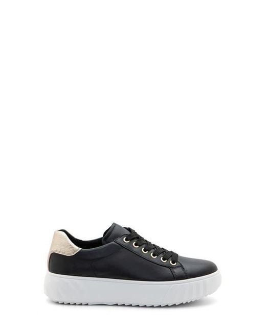 Ara White Mikky Platform Sneaker