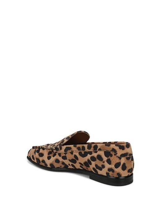 Sarto Brown Lainey Loafer