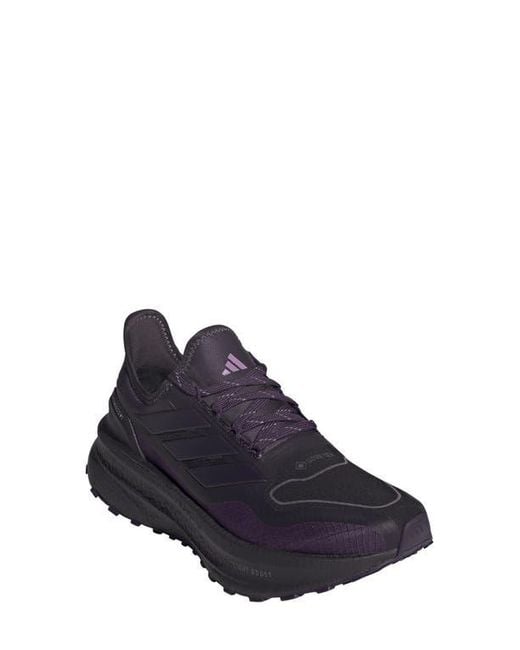Adidas Blue Ultraboost 5 Gtx Running Shoe