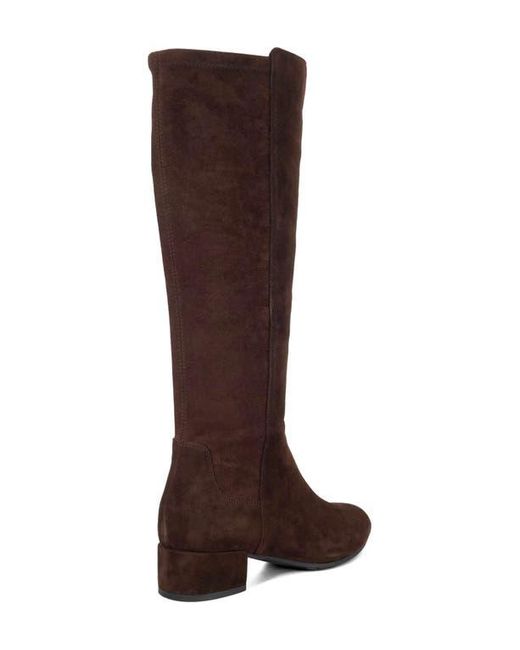 Dune Brown Tayla Knee High Boot