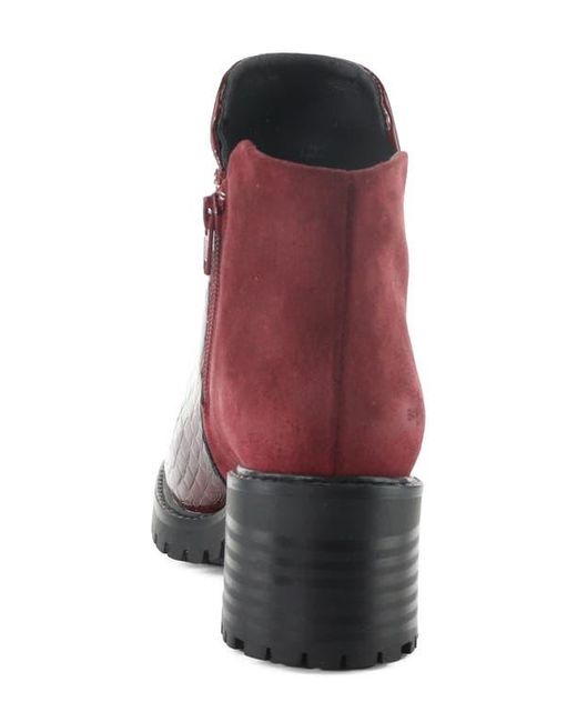 Bos. & Co. Purple Inara Bootie
