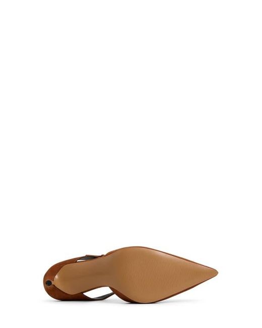 ALDO Brown Sidnney Pointed Toe Pump