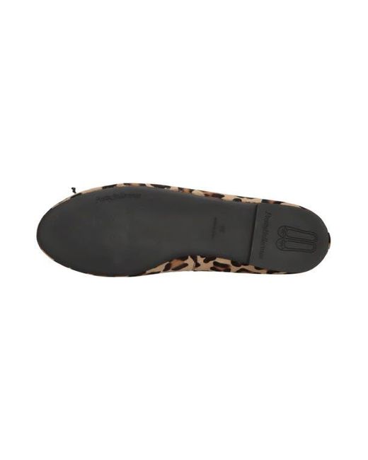 Pretty Ballerinas White Round Toe Ballet Flat
