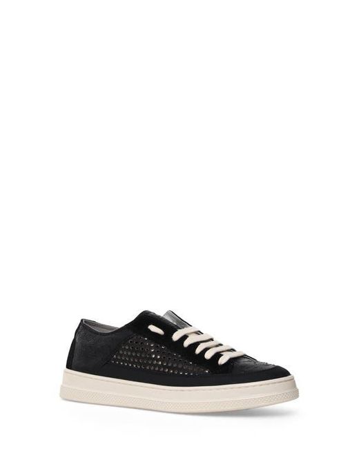 Candice Cooper Black Tim Perforated Leather Lace-Up Sneaker