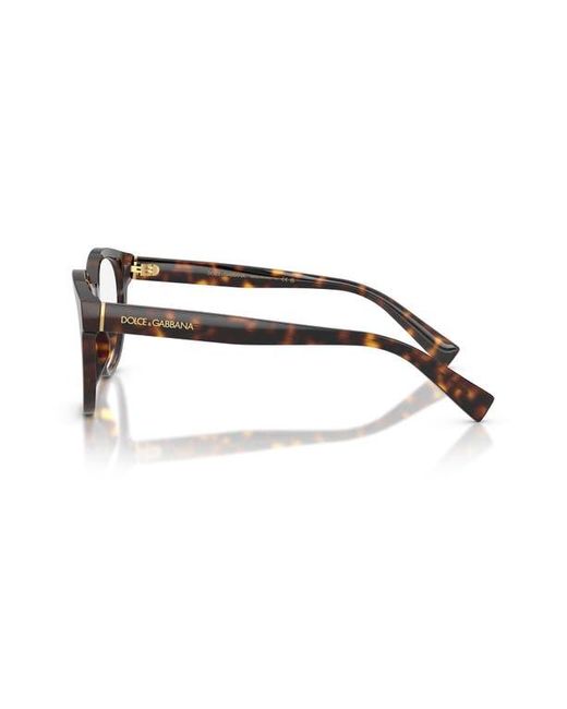 Dolce & Gabbana Brown 50Mm Phantos Optical Glasses for men