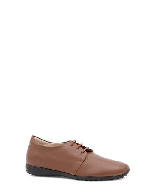Amalfi by Rangoni Brown Jasmine Derby