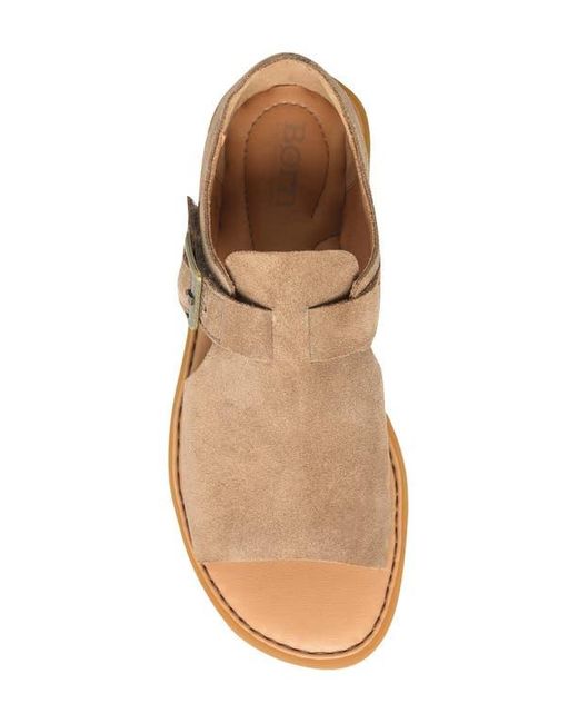 Børn Multicolor Ivey Sandal