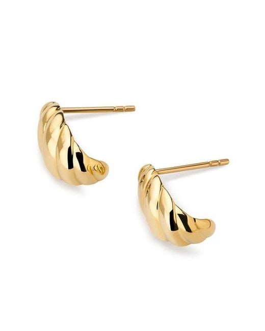 Ana Luisa Metallic Solid