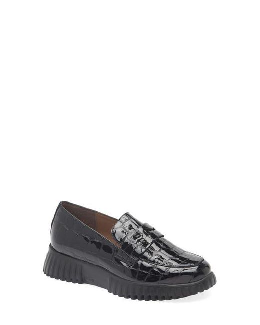Wonders Gray Flexfly 02 Loafer