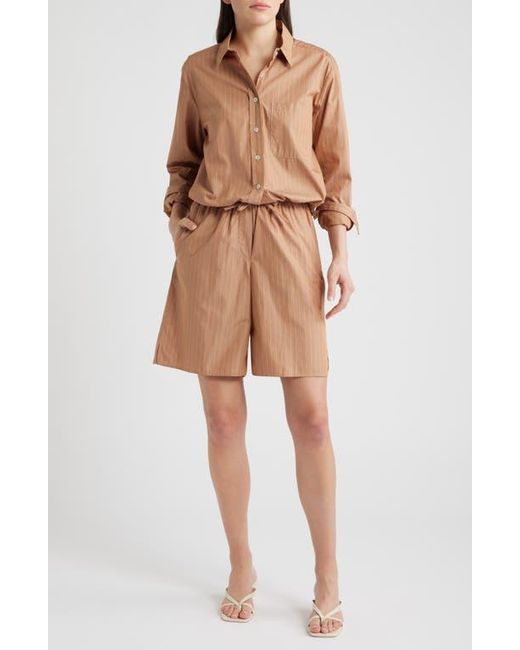 CISSA Brown Knee Length Shorts
