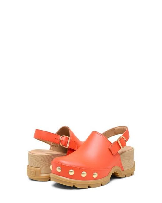 Sorel Orange Roam'N Rvt Clog