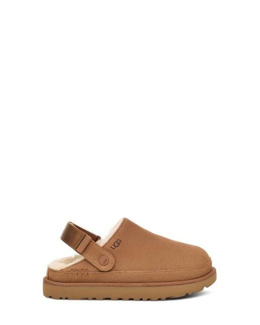 Ugg Brown Goldenstar Cozy Clog