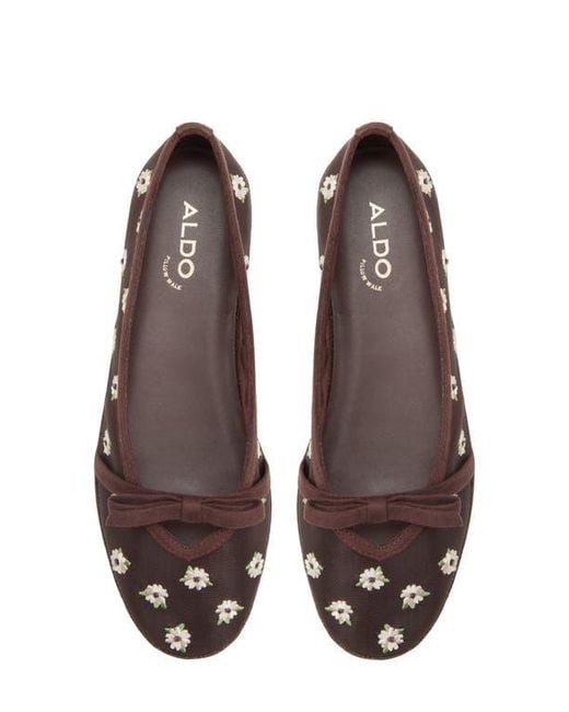 ALDO Brown Aurabella Ballet Flat