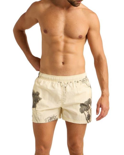 AUTO-REPLY™ Blue Print 4-Inch Nylon Swim Trunks for men