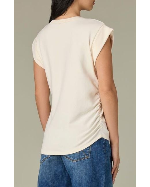 Wit & Wisdom Blue Knit Top