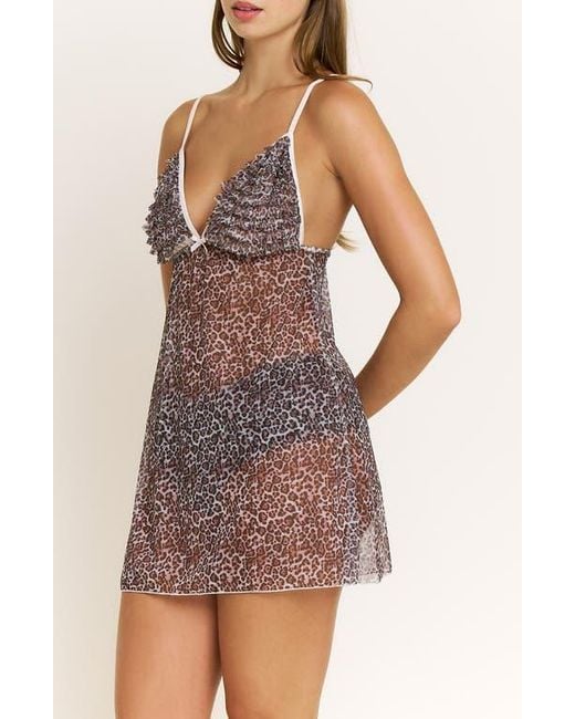 Honeydew Intimates Purple Rumba Floral Ruffle Sheer Chemise