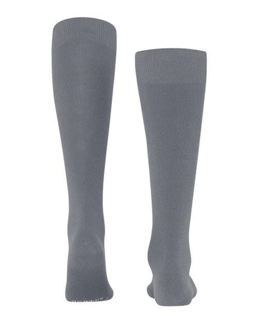 Falke Gray Energizing Wool Compression Knee High Socks for men