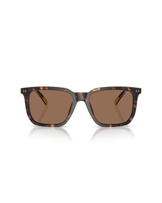 Polo Ralph Lauren Brown 55Mm Rectangular Sunglasses for men