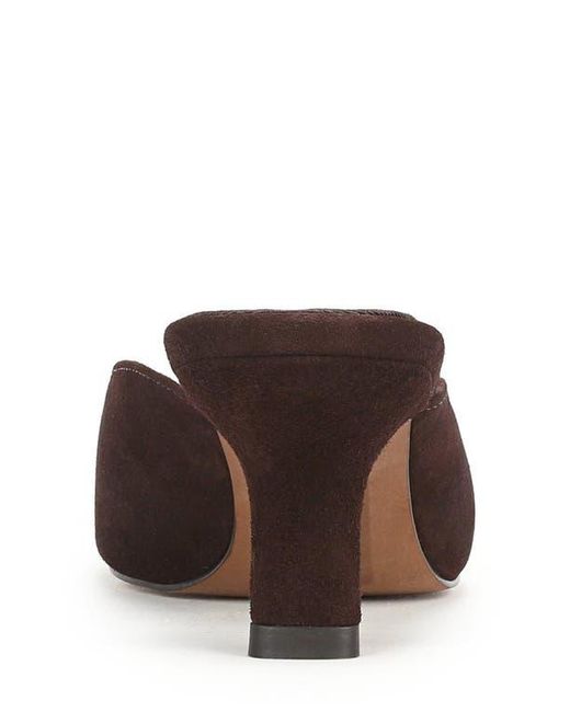 Sam Edelman Brown Brandy Pointed Toe Mule
