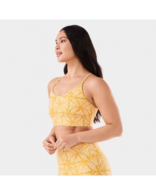 Tavi Orange Boost Bra