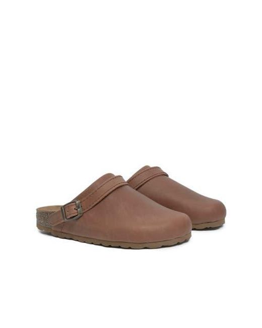 Celtic & Co. Brown Strap Detail Clog