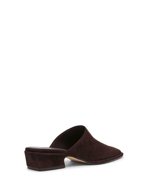 Steve Madden Brown Dessa Mule
