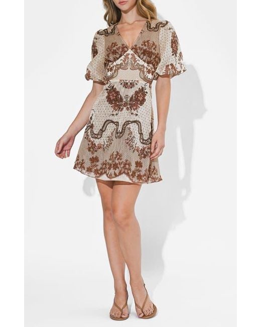 adelyn rae dress Adelyn Rae Marshal Eyelet Embroidery Dress