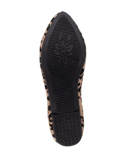 Tahari Multicolor Tortuga Ballet Flat