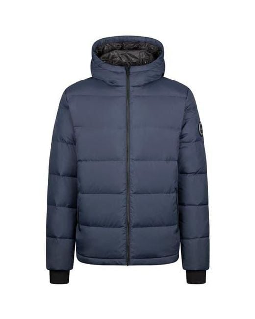 Trespass Blue Sergei Dlx Down Jacket for men