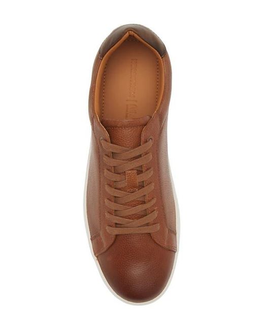 Nordstrom Brown Tyson Low Top Sneaker for men