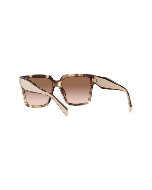 Prada Brown 57Mm Square Sunglasses for men