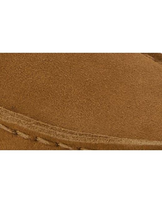 TOMS Brown Blakely Loafer
