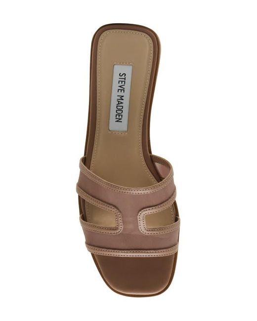 Steve Madden Brown Hazel Slide Sandal