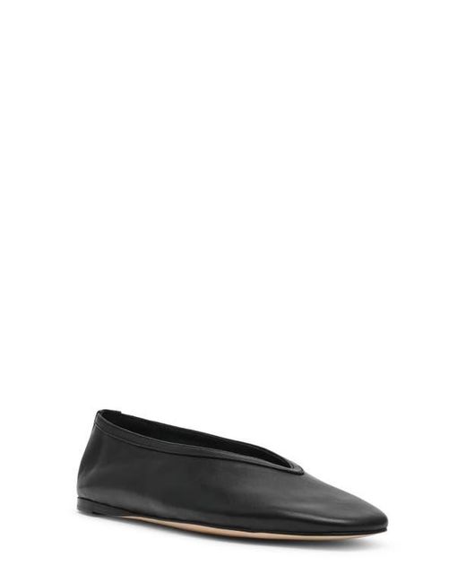 Steve Madden Black Leni Flat