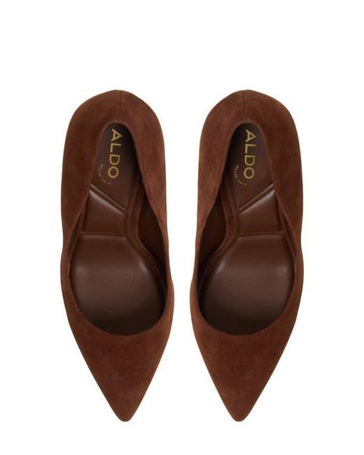 ALDO Brown Lala Pointed Toe Pump