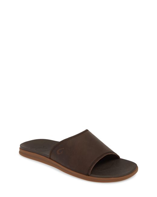 alania slide