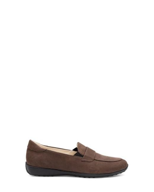 Amalfi by Rangoni Brown Jill Loafer