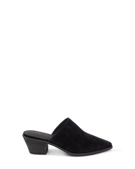 Chocolat Blu Black Cellia Pointed Toe Mule