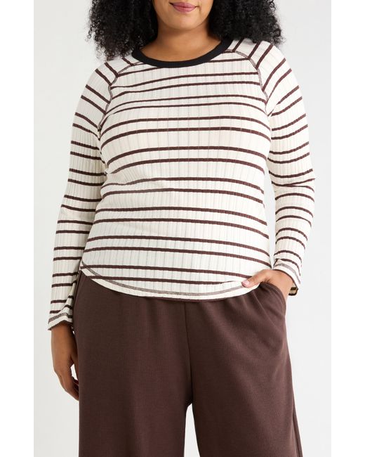 Wit & Wisdom Multicolor Ringer Rib Top