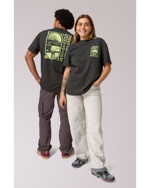 Parks Project Gray Dark Sky Scale Tee