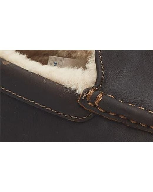 Ugg Multicolor Ascot Slipper for men