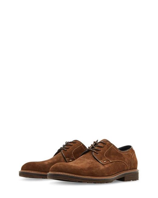 Steve Madden Brown Aeden Derby for men