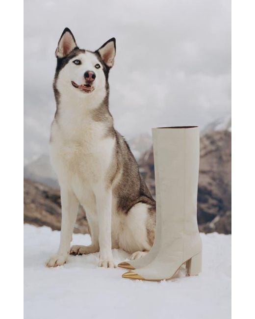 Kurt Geiger White Regent Knee High Boot