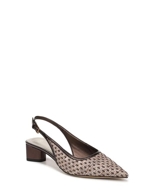 Sarto Brown Amelie Slingback Pointed Toe Pump