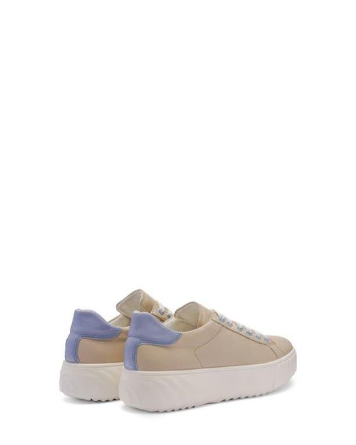 Ara Multicolor Mikky Platform Sneaker