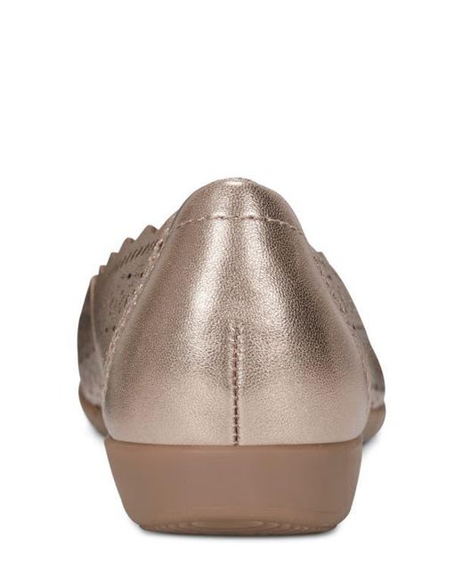 Earth Brown Bria Casual Flat