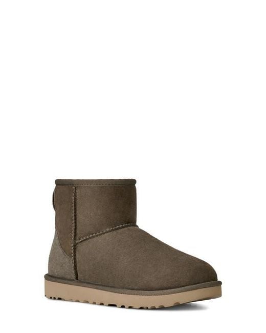 Ugg Brown Ugg Classic Mini Ii Genuine Shearling Lined Boot