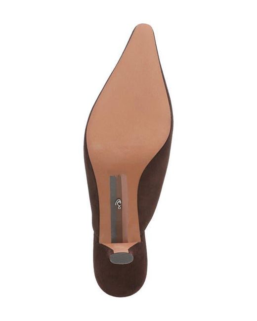 Sam Edelman Brown Brandy Pointed Toe Mule