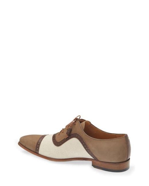 Mezlan Brown Ayna Plain Toe Oxford for men